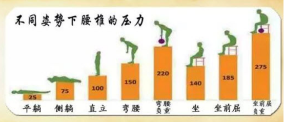 麻豆视频免费入口