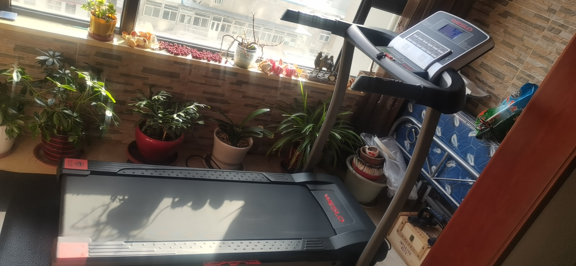 汾阳羞羞麻豆国产精品1区2区3区